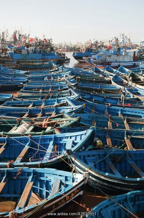 : Morocco - The fishing port of Essaouira, which : Morocco - The fishing port of Essaouira, which