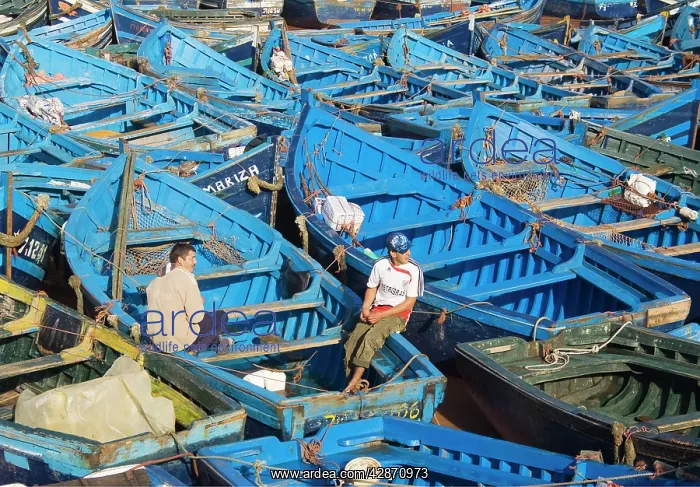 : Morocco - The fishing port of Essaouira, which : Morocco - The fishing port of Essaouira, which