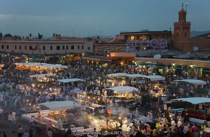: Morocco - Food stalls at Djemaa El Fna : Morocco - Food stalls at Djemaa El Fna