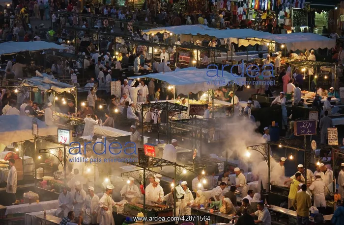 : Morocco - Food stalls at Djemaa El Fna, Marrakesh's : Morocco - Food stalls at Djemaa El Fna, Marrakesh's