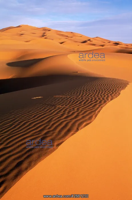 : MOROCCO - The great sand dunes of the Erg Chebbi : MOROCCO - The great sand dunes of the Erg Chebbi