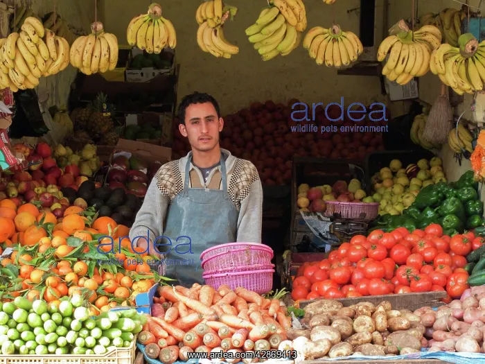 : Morocco - Greengrocery in the Medina (= the original : Morocco - Greengrocery in the Medina (= the original