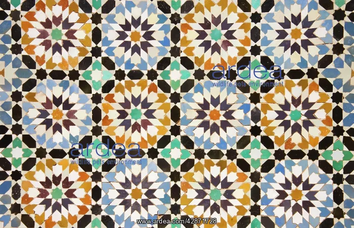 : Morocco - Highly artistic tile works in the central : Morocco - Highly artistic tile works in the central