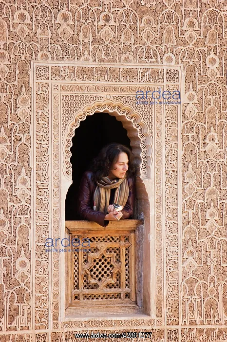 : Morocco - Highly elaborated stuccowork in the Ben : Morocco - Highly elaborated stuccowork in the Ben