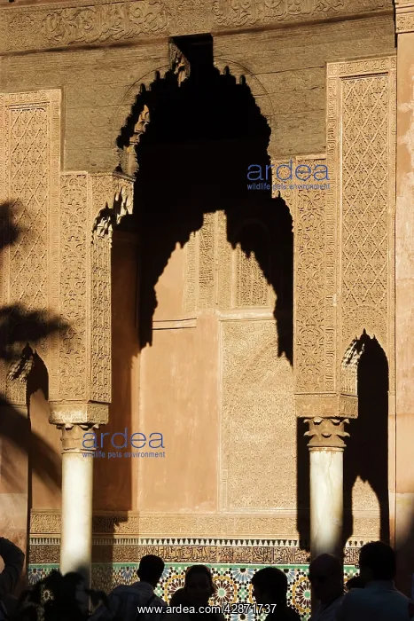 : Morocco - Highly elaborated stuccoworks in the : Morocco - Highly elaborated stuccoworks in the