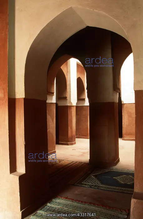 : MOROCCO - Hotel Tombouctou (former 1940's Kasbah) : MOROCCO - Hotel Tombouctou (former 1940's Kasbah)