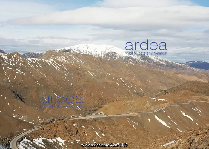  : Morocco - The impressive access road to the Tizi-n-Tichka