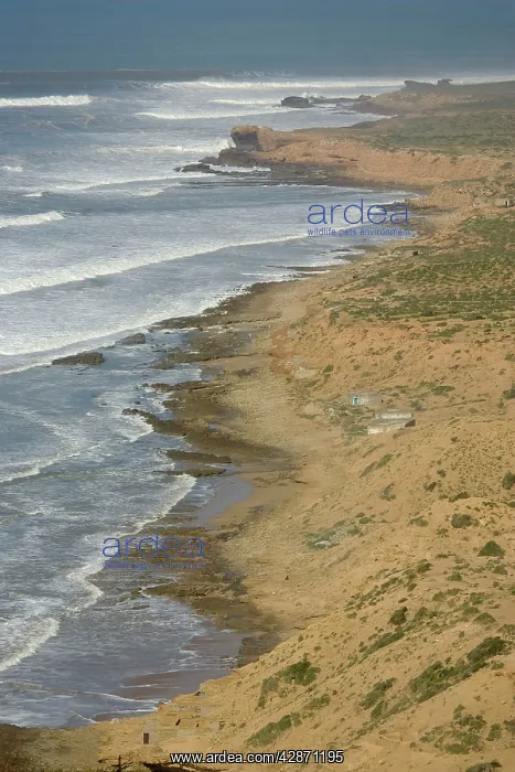 : Morocco - The impressive coastline north of Pointe : Morocco - The impressive coastline north of Pointe