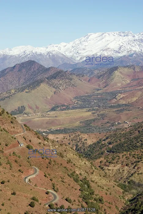 : Morocco - The very impressive Tizi-n-Test mountain : Morocco - The very impressive Tizi-n-Test mountain