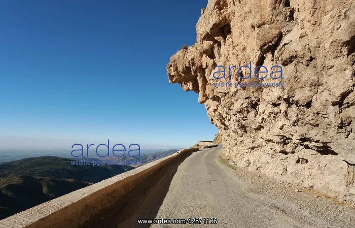 : Morocco - The very impressive Tizi-n-Test mountain : Morocco - The very impressive Tizi-n-Test mountain