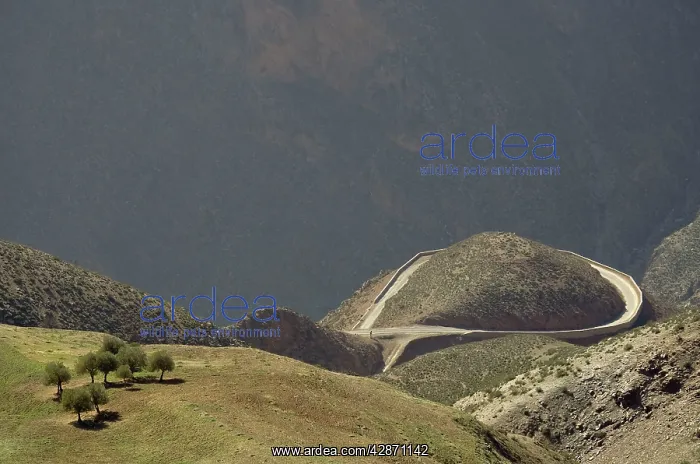 : Morocco - The very impressive Tizi-n-Test mountain : Morocco - The very impressive Tizi-n-Test mountain