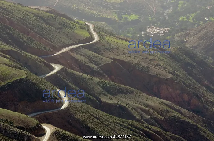 : Morocco - The very impressive Tizi-n-Test mountain : Morocco - The very impressive Tizi-n-Test mountain