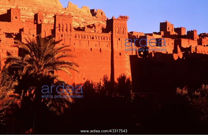 : MOROCCO - KASBAH (Fortress) : MOROCCO - KASBAH (Fortress)