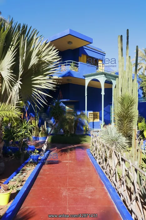 : Morocco - The lovely subtropical garden Jardin : Morocco - The lovely subtropical garden Jardin