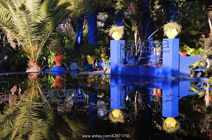 : Morocco - The lovely subtropical garden Jardin : Morocco - The lovely subtropical garden Jardin