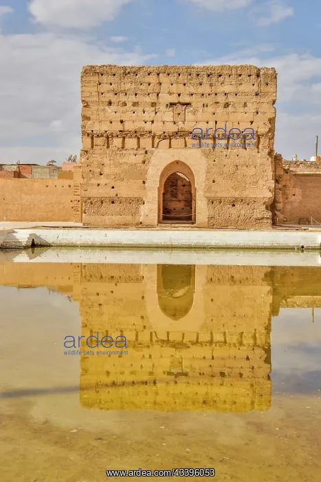 : Morocco, Marrakech. Badii Palace, Ali Alamani. (MR) : Morocco, Marrakech. Badii Palace, Ali Alamani. (MR)