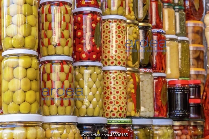 : Morocco, Marrakech. Olive jars for sale : Morocco, Marrakech. Olive jars for sale