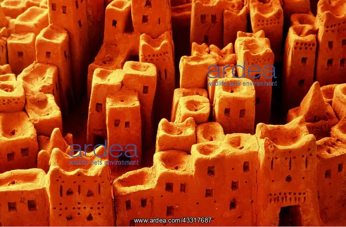 : MOROCCO - Model of fortified village / Ksar of Tinerhir : MOROCCO - Model of fortified village / Ksar of Tinerhir