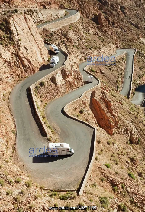 : Morocco - At the narrowest spot of the Dades gorge : Morocco - At the narrowest spot of the Dades gorge