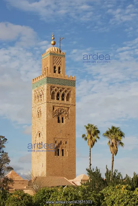 : Morocco - The nearly seventy metres high Koutoubia : Morocco - The nearly seventy metres high Koutoubia
