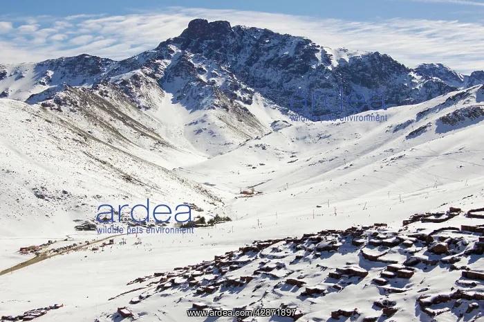 : Morocco - The Oukaimeden skiing centre in the High : Morocco - The Oukaimeden skiing centre in the High