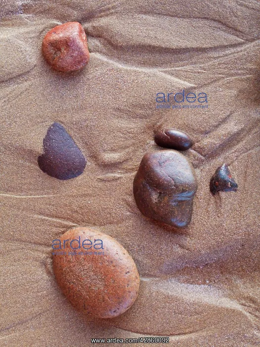 : Morocco - Pebbles in the sand at Legzira beach : Morocco - Pebbles in the sand at Legzira beach