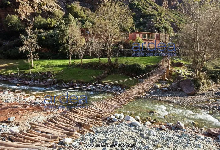 : Morocco - A plank bridge often is the only access : Morocco - A plank bridge often is the only access