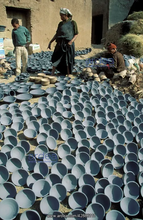 : Morocco - Pottery production in the potters co-operative : Morocco - Pottery production in the potters co-operative