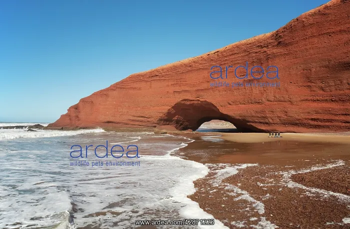 : Morocco - Rock arch at the Atlantic Ocean at Legzira : Morocco - Rock arch at the Atlantic Ocean at Legzira