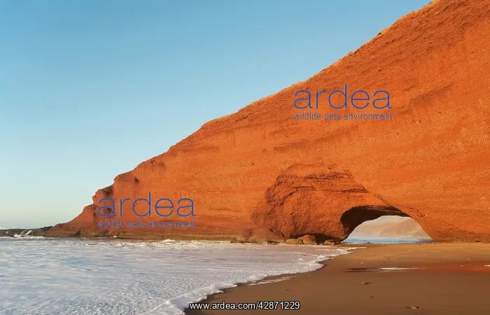: Morocco - Rock arch at the Atlantic Ocean at Legzira : Morocco - Rock arch at the Atlantic Ocean at Legzira