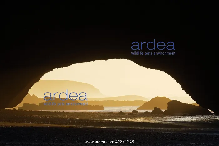 : Morocco - Rock arch at the Atlantic Ocean at Legzira : Morocco - Rock arch at the Atlantic Ocean at Legzira