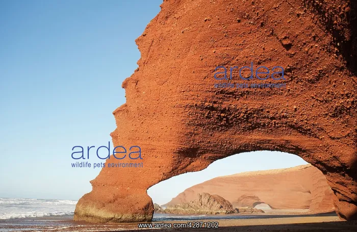 : Morocco - Rock archs at the Atlantic Ocean at Legzira : Morocco - Rock archs at the Atlantic Ocean at Legzira