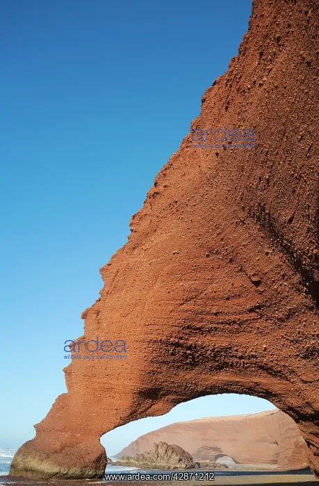 : Morocco - Rock archs at the Atlantic Ocean at Legzira : Morocco - Rock archs at the Atlantic Ocean at Legzira