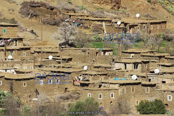 : Morocco - Rooftop satellite dishes evidence the : Morocco - Rooftop satellite dishes evidence the