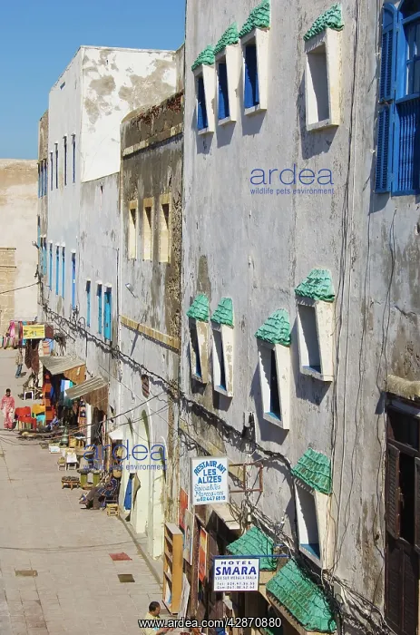: Morocco - The Rue de la Skala below the Skala de : Morocco - The Rue de la Skala below the Skala de