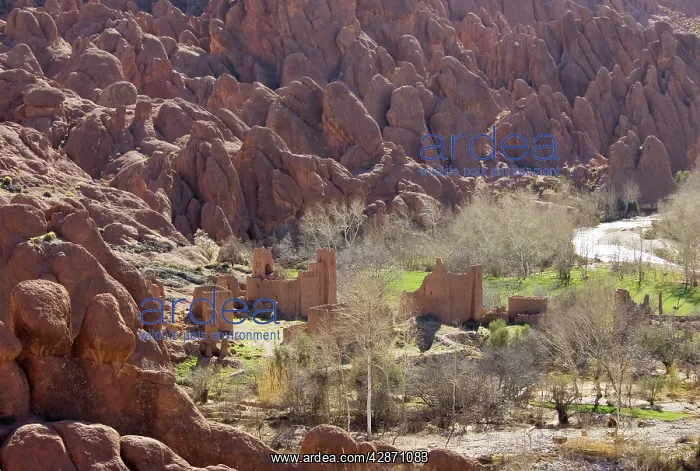 : Morocco - Ruined kasbahs at the so-called 'Hills : Morocco - Ruined kasbahs at the so-called 'Hills