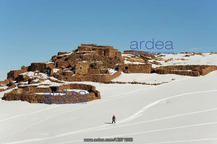  : Morocco - Snowed up Berber village and skier in