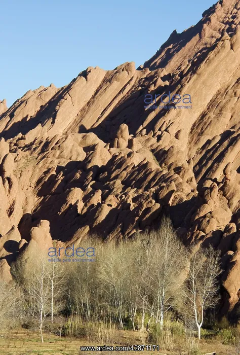 : Morocco - The so-called 'Hills of Human Bodies' : Morocco - The so-called 'Hills of Human Bodies'