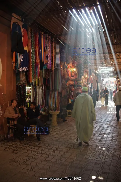 : Morocco - In the souks of Marrakesh : Morocco - In the souks of Marrakesh