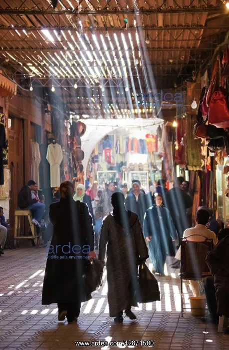 : Morocco - In the souks of Marrakesh : Morocco - In the souks of Marrakesh