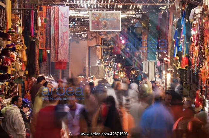: Morocco - In the souks of Marrakesh : Morocco - In the souks of Marrakesh