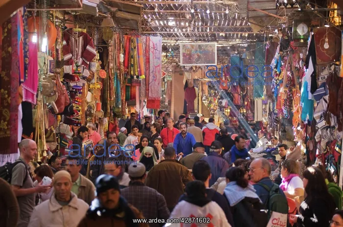 : Morocco - In the souks of Marrakesh : Morocco - In the souks of Marrakesh