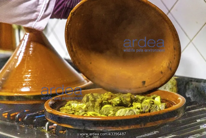 : Morocco, Taroudant Province. Hotel Dar Zitoune : Morocco, Taroudant Province. Hotel Dar Zitoune