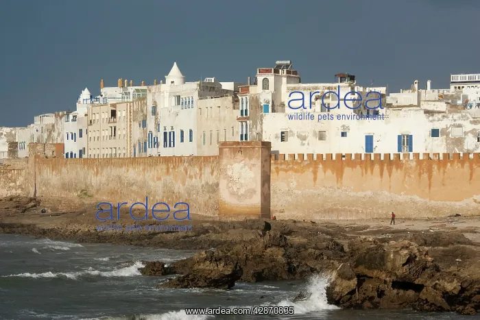 : Morocco - View of the eighteenth-century town of : Morocco - View of the eighteenth-century town of