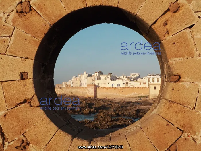: Morocco - View of the eighteenth-century town of : Morocco - View of the eighteenth-century town of
