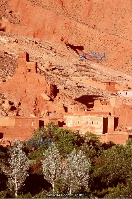 : MOROCCO - Village in Dades river valley : MOROCCO - Village in Dades river valley