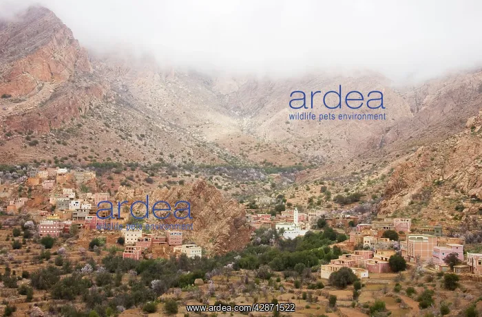 : Morocco - The village of Tagoudiche high above : Morocco - The village of Tagoudiche high above