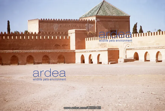 : MOROCCO - Walls of Palace Royale, Marrakesh : MOROCCO - Walls of Palace Royale, Marrakesh