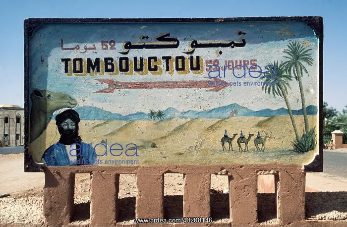: Morocco - Zagora road sign, reads 52 days (by camel) : Morocco - Zagora road sign, reads 52 days (by camel)