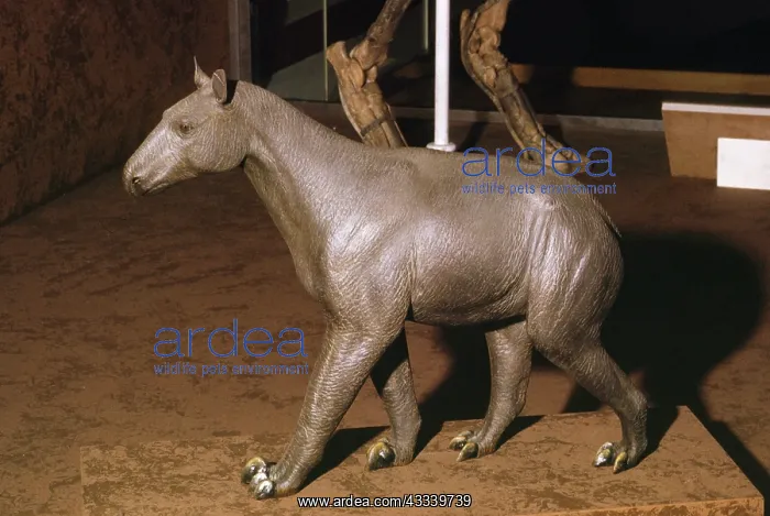 : Morpus - prehistoric reconstruction : Morpus - prehistoric reconstruction